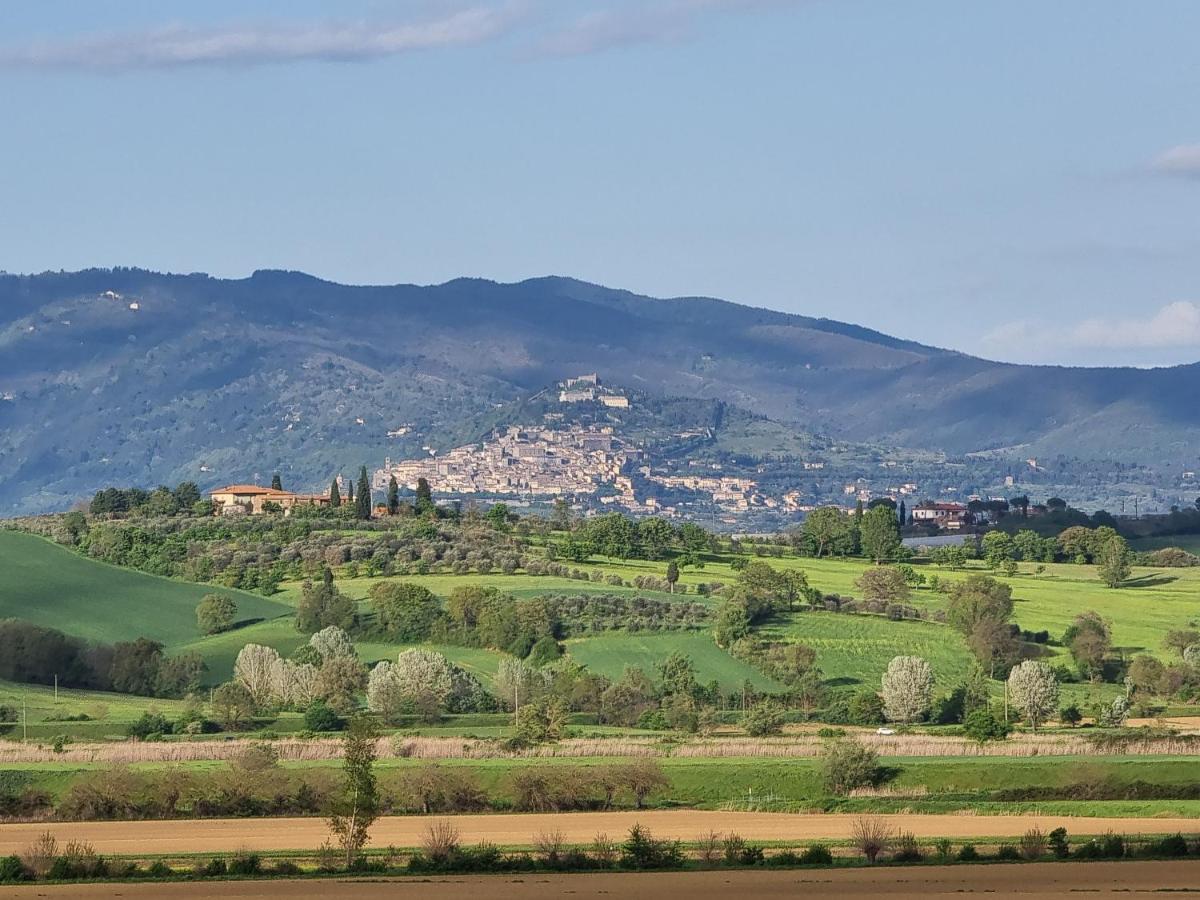 Villa Vignacce - Boutique Country Resort Бетоле Екстериор снимка